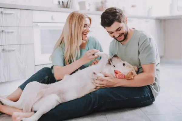 Nomes de Cachorro Fêmea