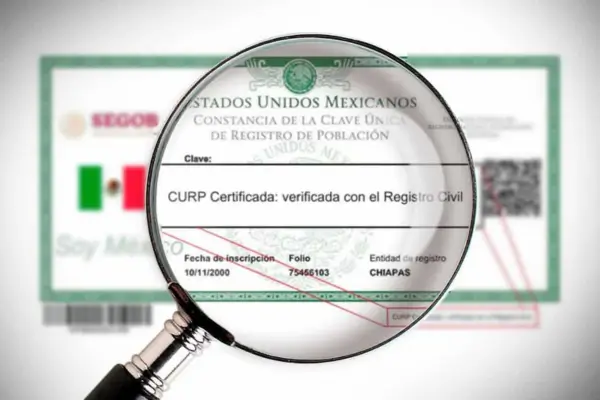 A Importância do CURP para Integração de Serviços no México